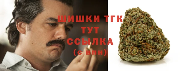 бошки Верхний Тагил